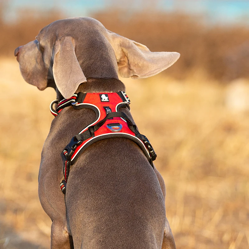 Truelove Pet Reflective Nylon  - огляд і ціна Reflective Jacket Running