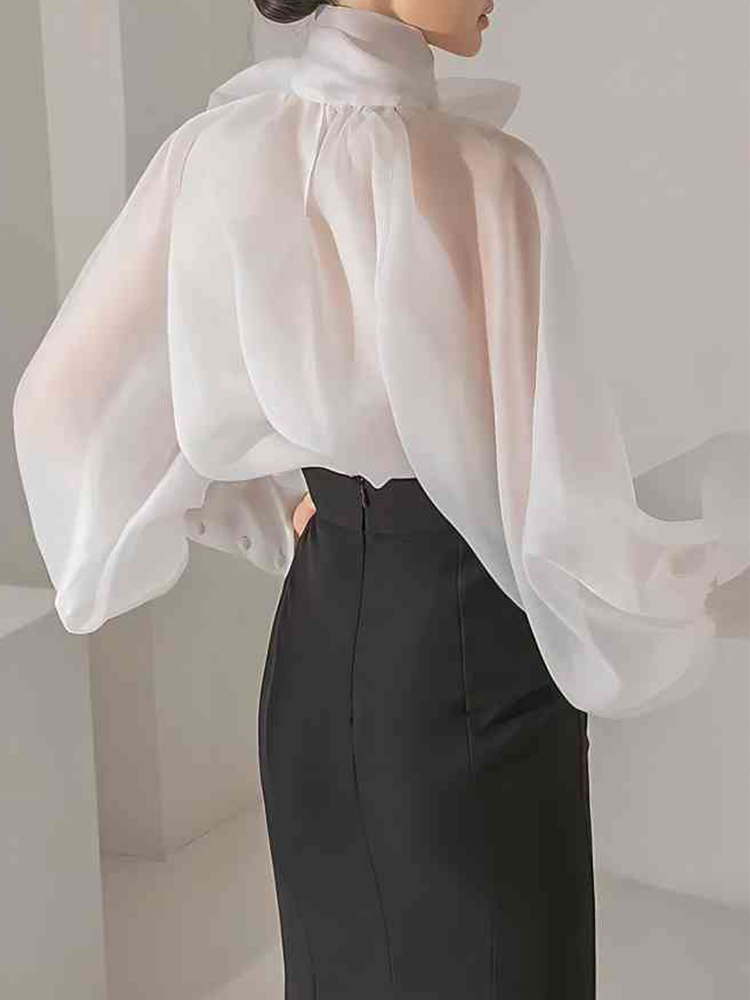 Women's Elegant Lantern Sleeve - огляд і ціна Street Fashion Necklace
